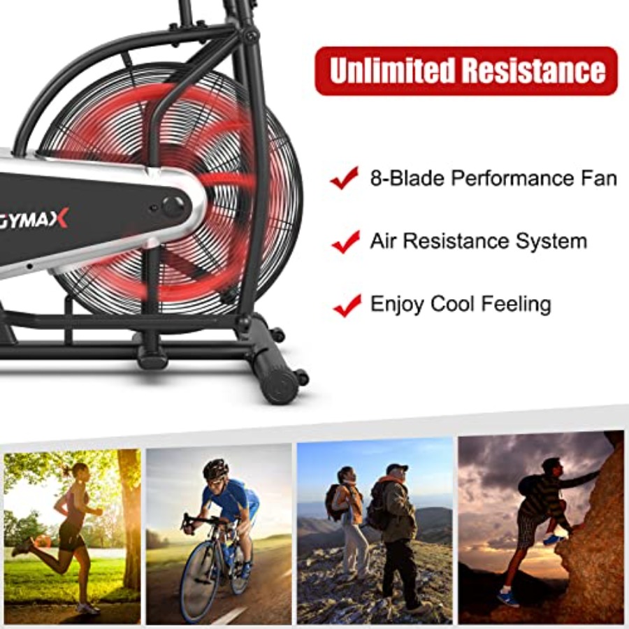 เครื่องออกกำลังกายคาร์ดิโอสำหร - Home Gym Leg บทวิจารณ์และราคา