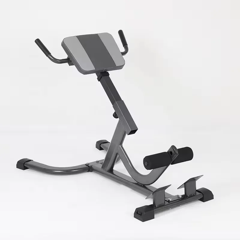 2026 เก้าอี้โรมันเหล็ก ปรับระด - Home Gym Hamstring Exercises บทวิจารณ์และราคา